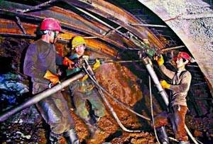 1690267917152923.jpg 7.jpg